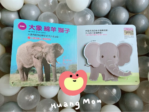 認識動物