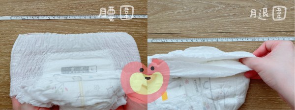 妙兒褲腰圍腿圍測試