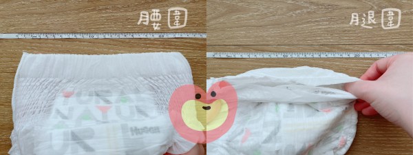 小森林腰圍腿圍測試